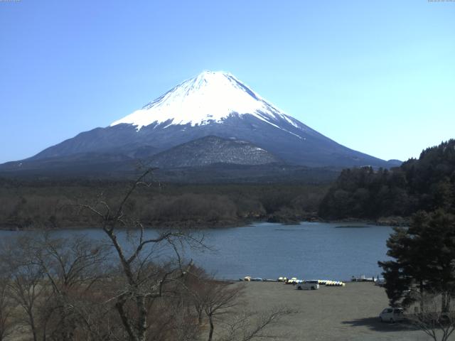 精進湖からの富士山