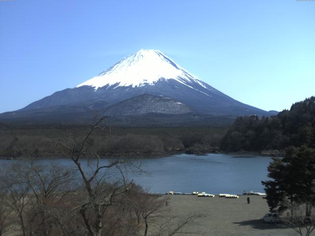 精進湖からの富士山