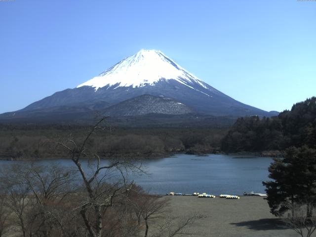 精進湖からの富士山
