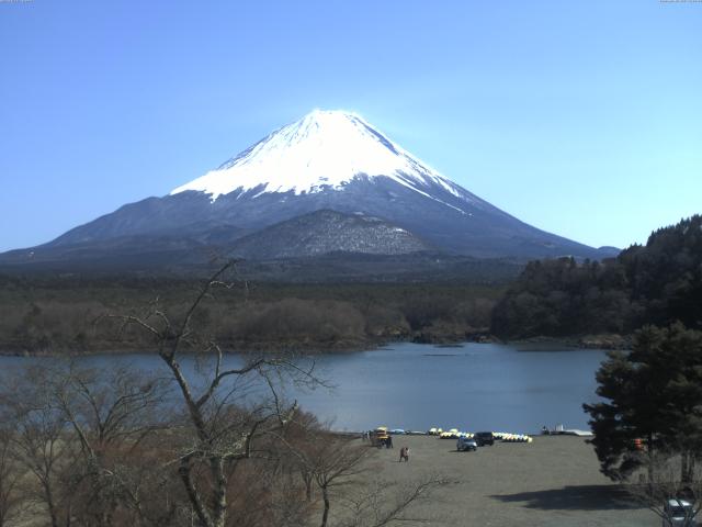 精進湖からの富士山