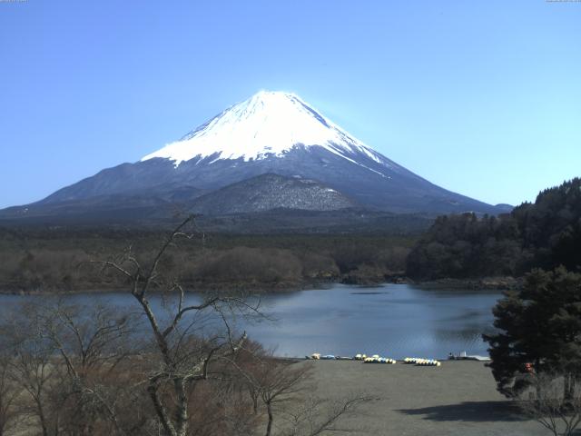 精進湖からの富士山