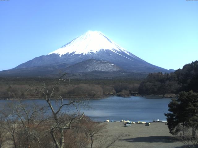 精進湖からの富士山