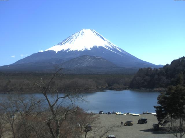 精進湖からの富士山