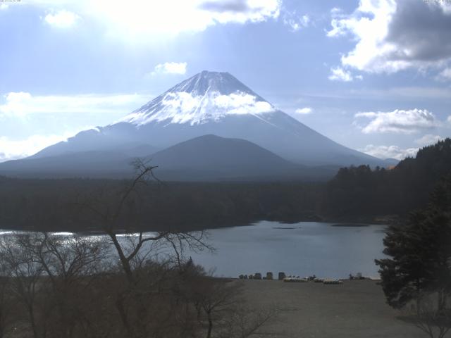 精進湖からの富士山