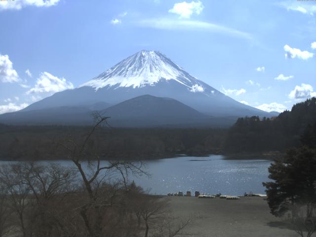 精進湖からの富士山