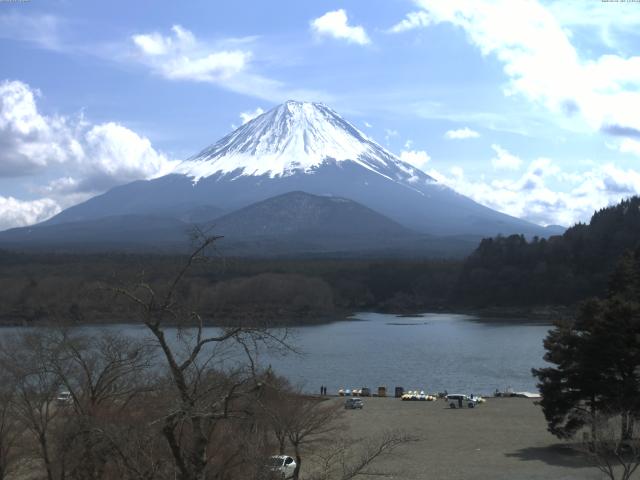 精進湖からの富士山