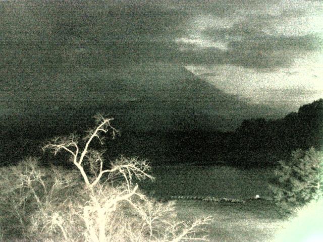 精進湖からの富士山