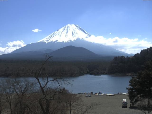 精進湖からの富士山