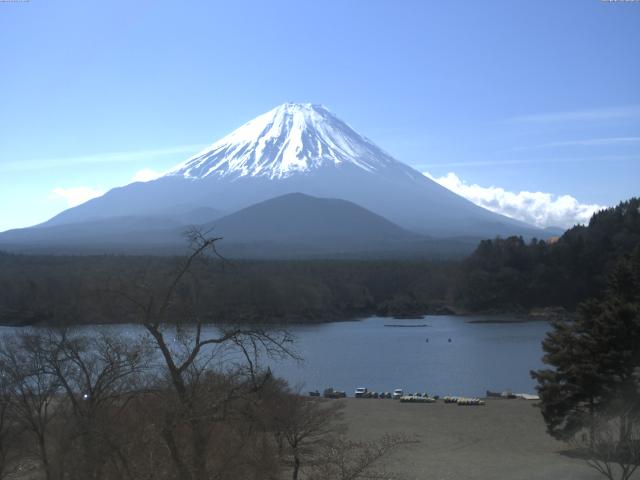 精進湖からの富士山