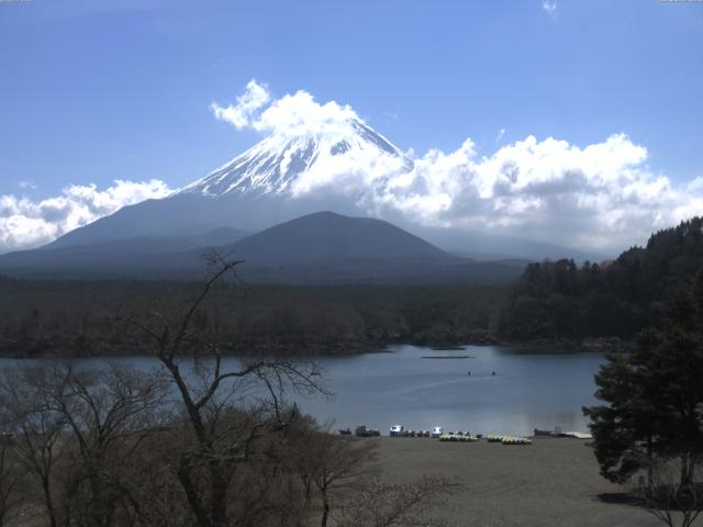 精進湖からの富士山