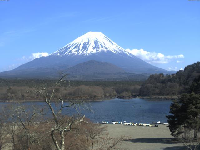 精進湖からの富士山