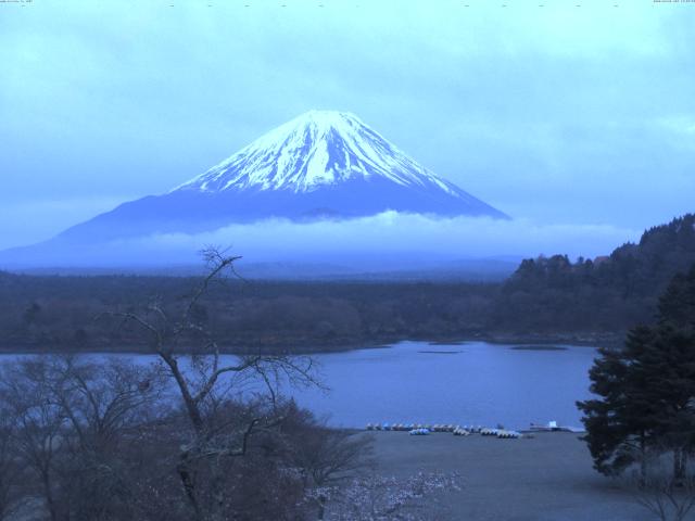 精進湖からの富士山