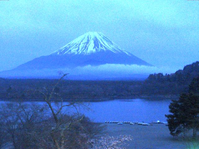 精進湖からの富士山