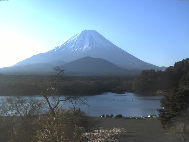精進湖からの富士山