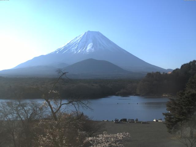 精進湖からの富士山