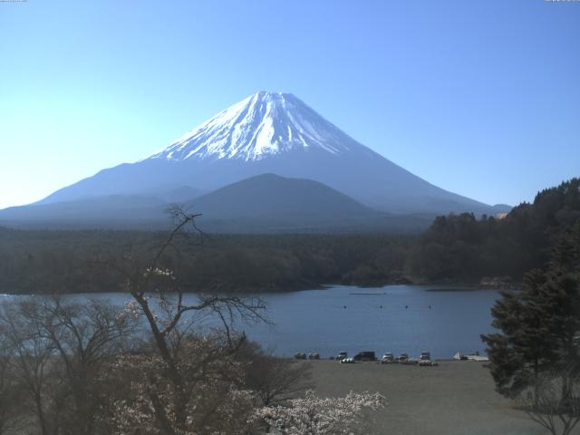 精進湖からの富士山