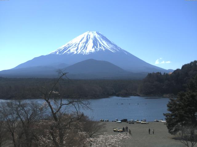精進湖からの富士山