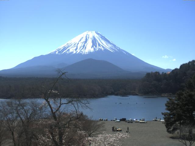精進湖からの富士山
