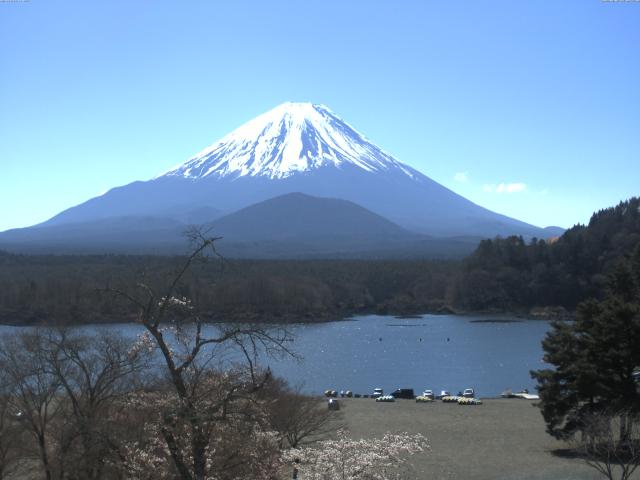 精進湖からの富士山