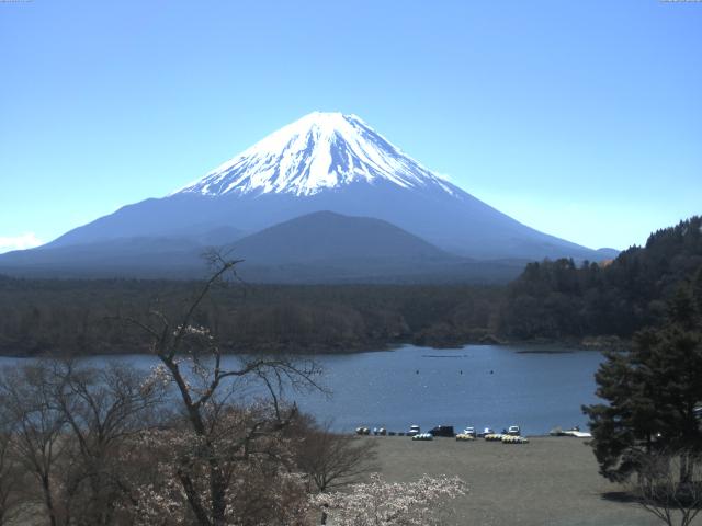精進湖からの富士山