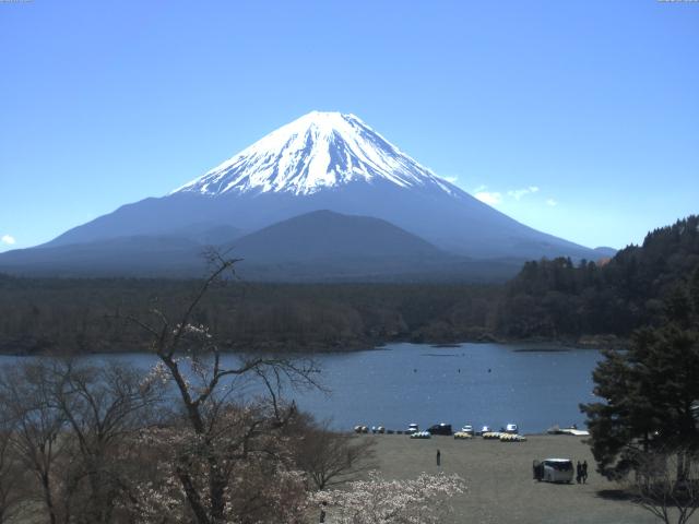 精進湖からの富士山