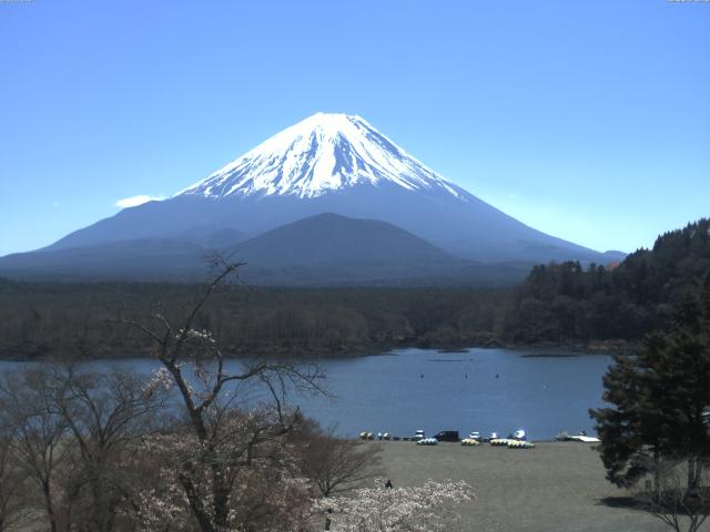 精進湖からの富士山