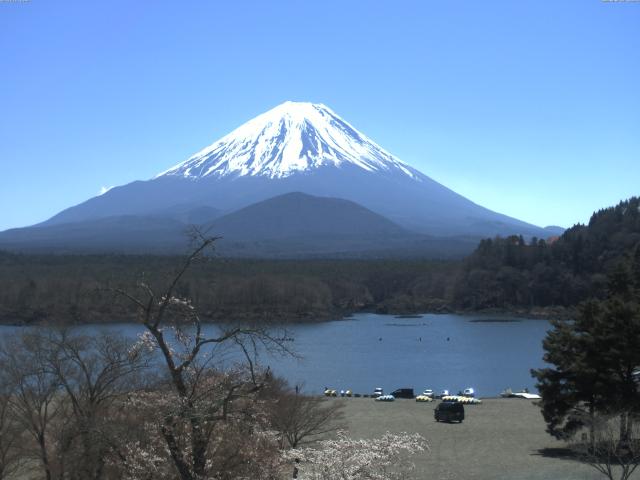 精進湖からの富士山
