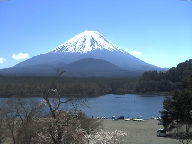 精進湖からの富士山