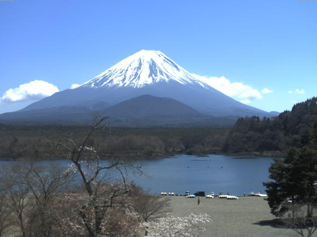精進湖からの富士山