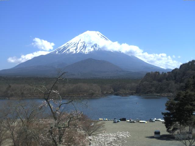 精進湖からの富士山