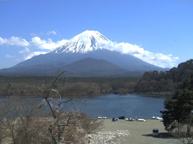 精進湖からの富士山