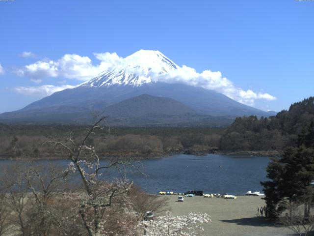 精進湖からの富士山