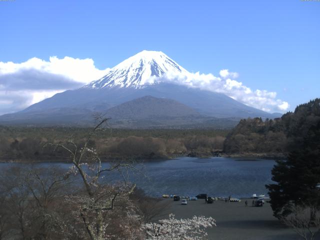 精進湖からの富士山