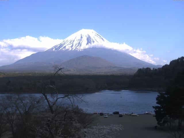 精進湖からの富士山