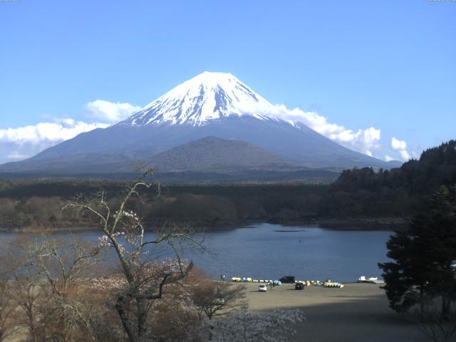 精進湖からの富士山