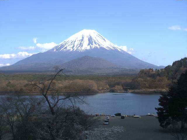 精進湖からの富士山