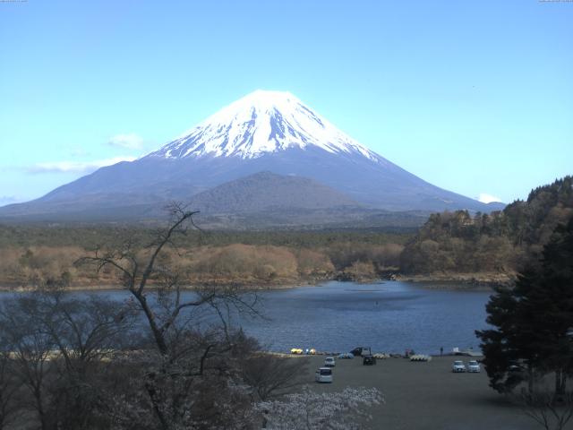 精進湖からの富士山