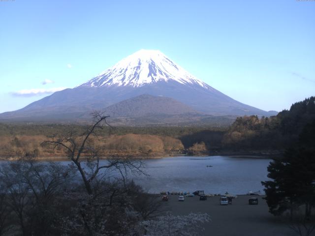 精進湖からの富士山