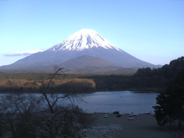 精進湖からの富士山