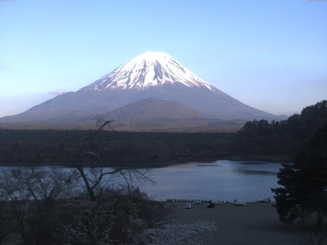 精進湖からの富士山