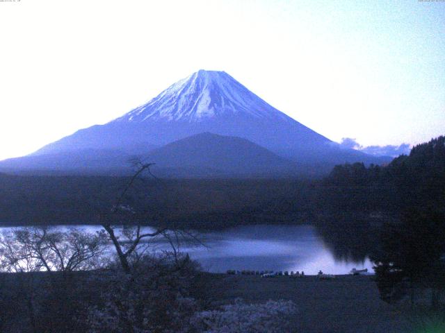 精進湖からの富士山