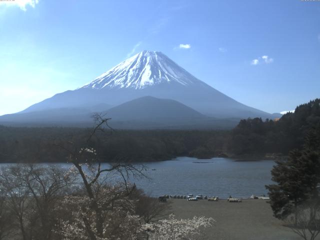 精進湖からの富士山