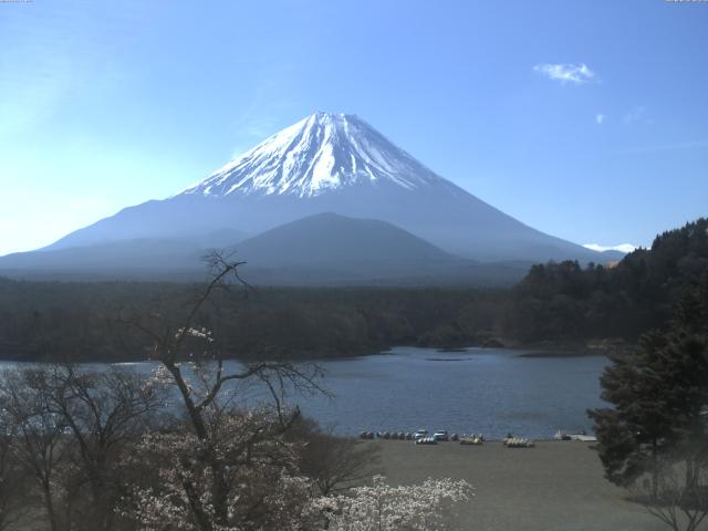 精進湖からの富士山