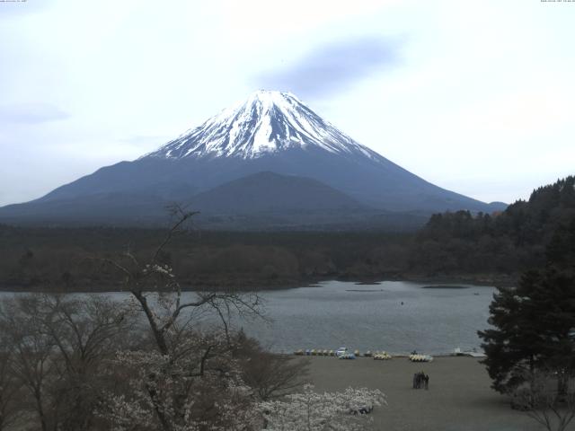 精進湖からの富士山