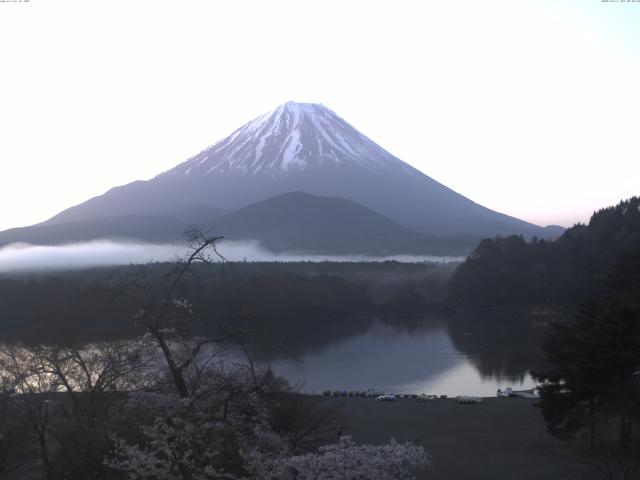 精進湖からの富士山