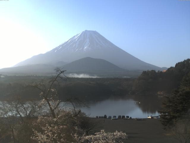 精進湖からの富士山