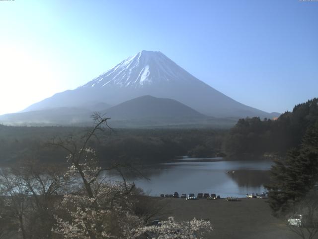 精進湖からの富士山