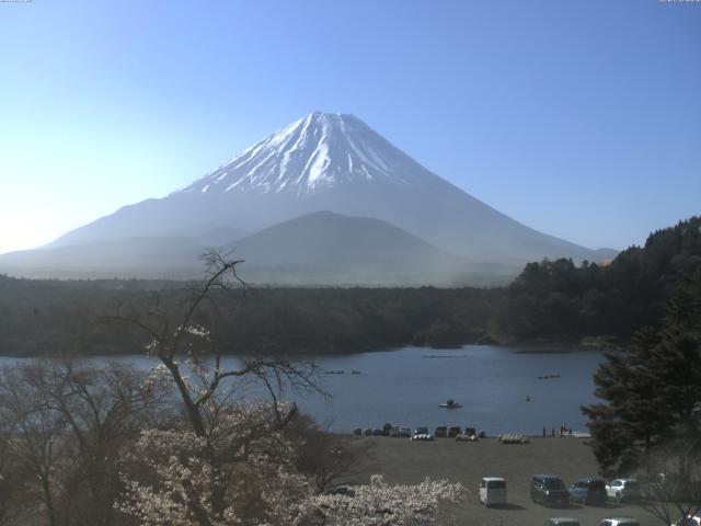精進湖からの富士山
