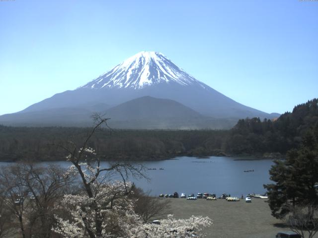 精進湖からの富士山