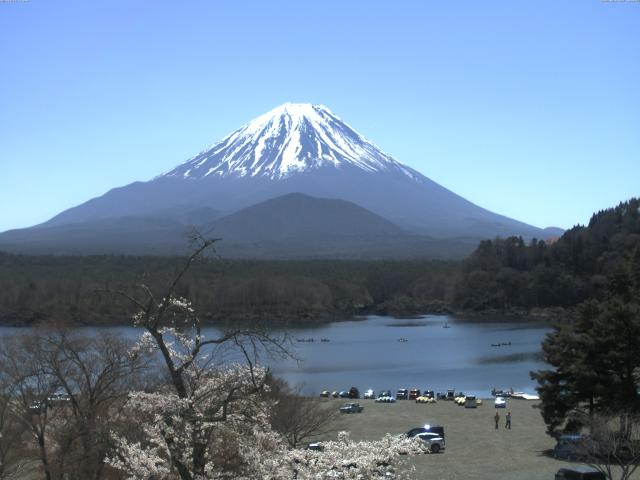 精進湖からの富士山